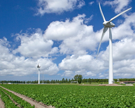 polder met molen 04